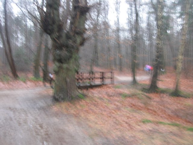 img_7244.jpg