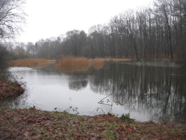 img_7246.jpg