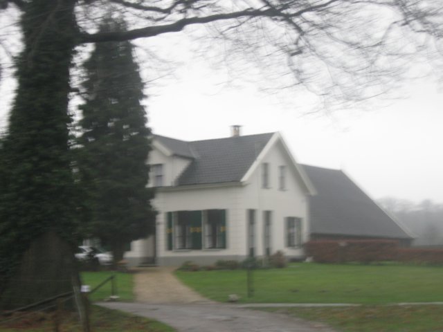 img_7262.jpg