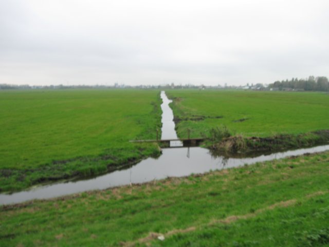 img_6695.jpg