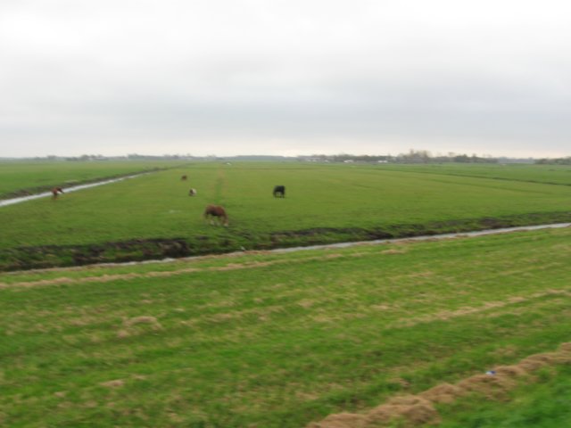 img_6704.jpg