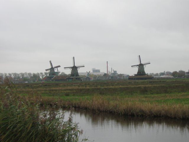 img_6715.jpg