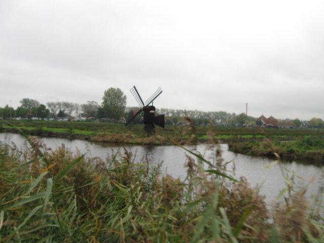 img_6718.jpg