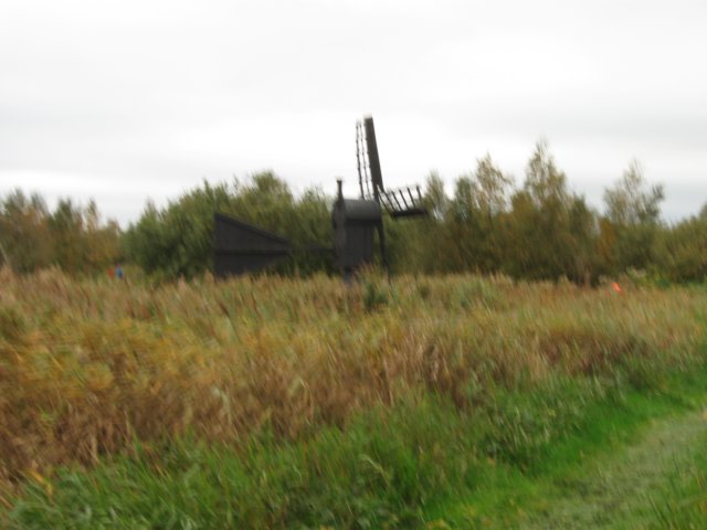 img_6803.jpg
