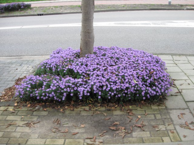 img_6889.jpg