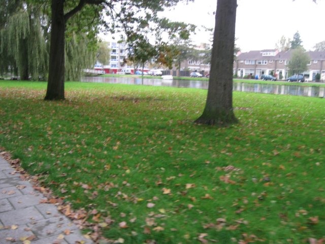 img_6890.jpg