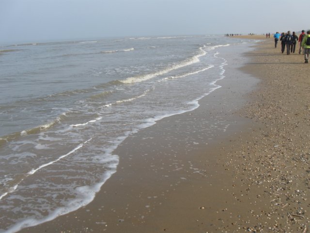img_9409.jpg