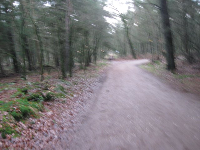 img_7925.jpg