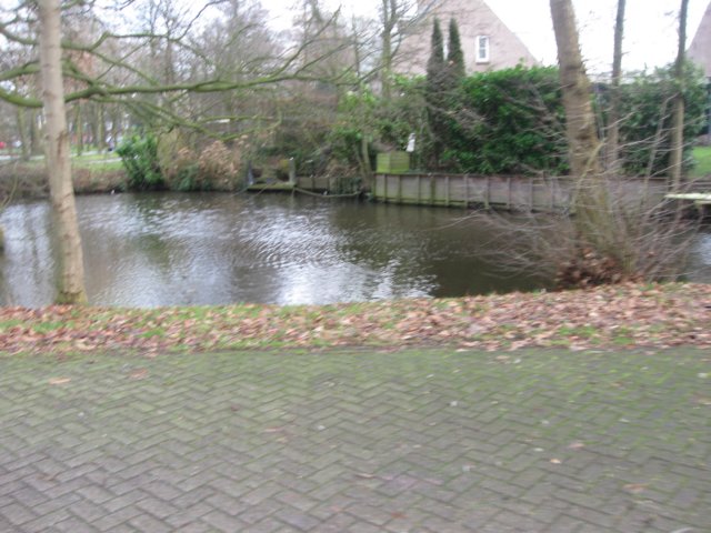 img_7968.jpg