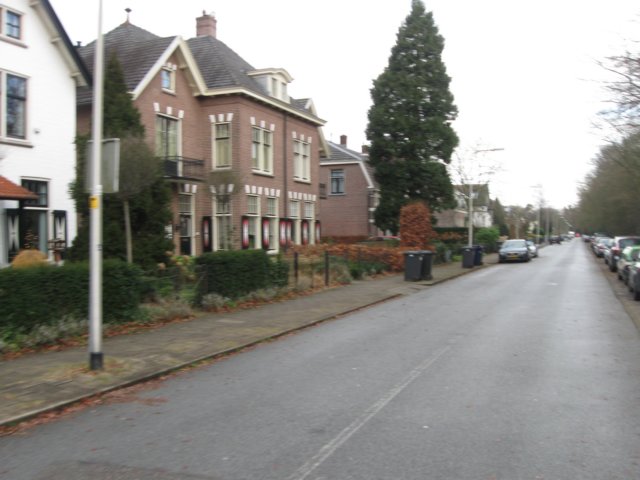 img_7981.jpg