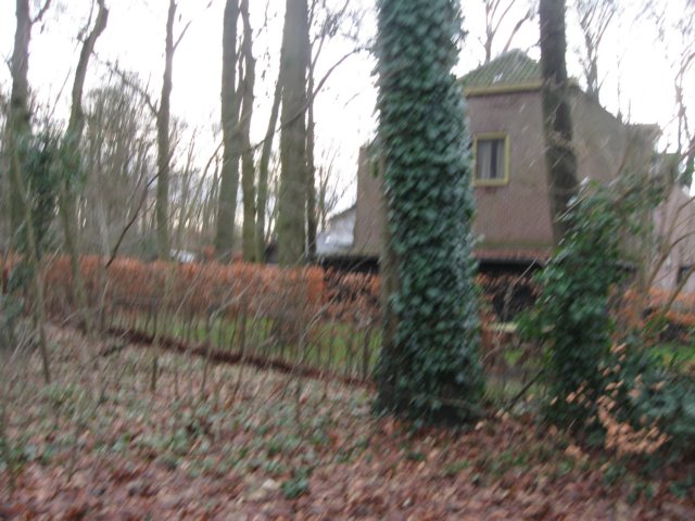 img_7982.jpg
