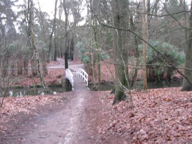 img_7983.jpg