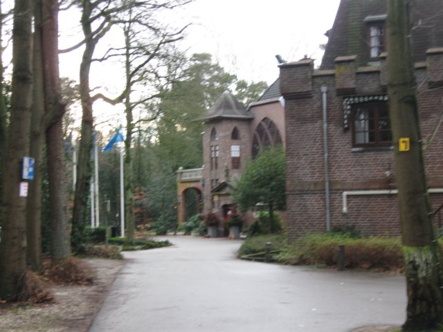 img_7984.jpg