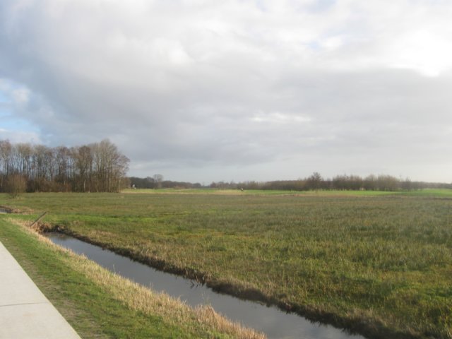 img_7056.jpg