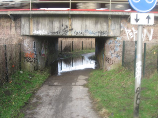 img_7078.jpg