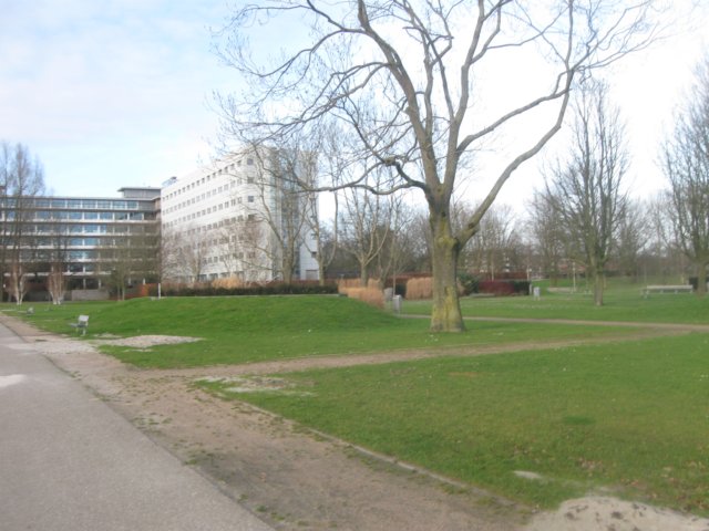 img_7113.jpg
