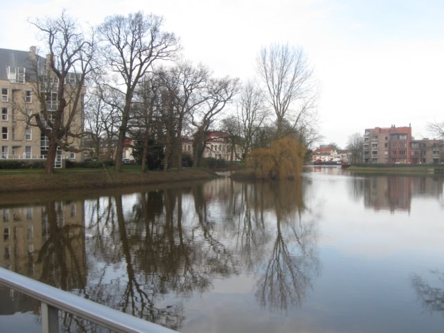 img_7117.jpg