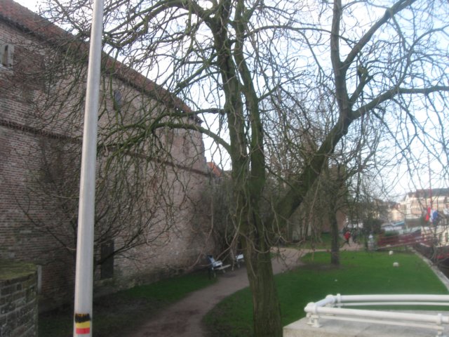 img_7121.jpg