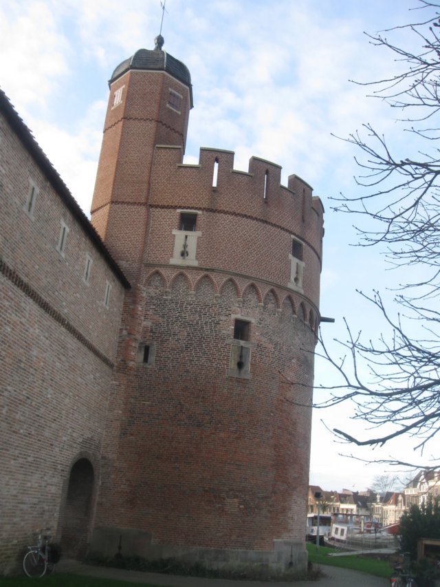 img_7124.jpg