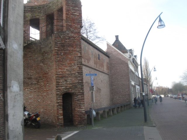 img_7132.jpg