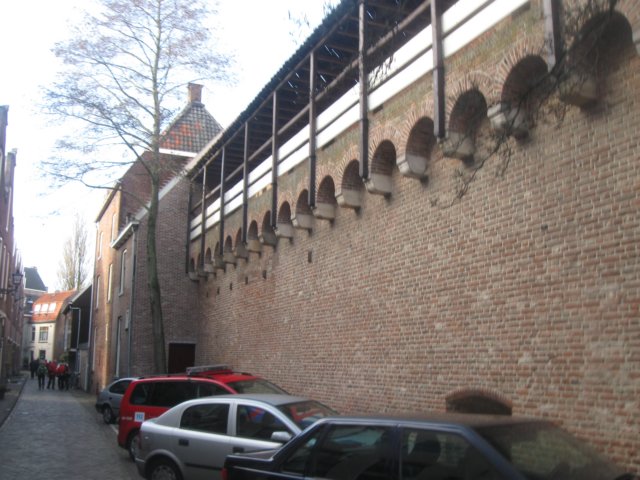 img_7133.jpg