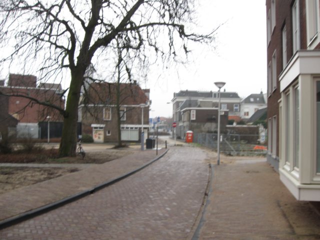 img_8925.jpg