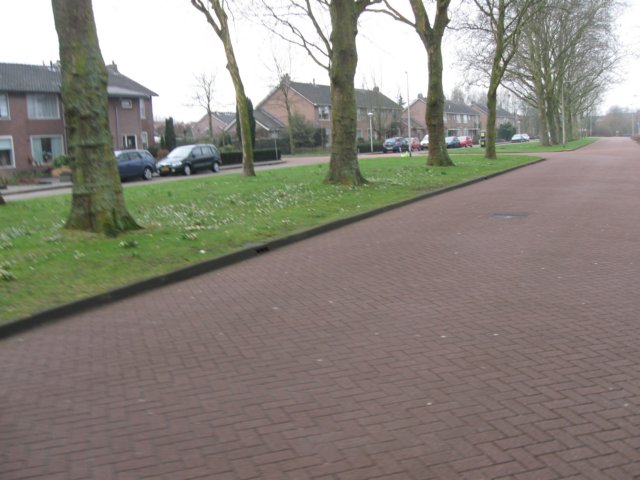 img_8982.jpg