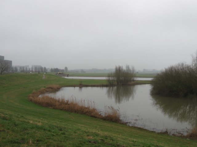 img_8994.jpg