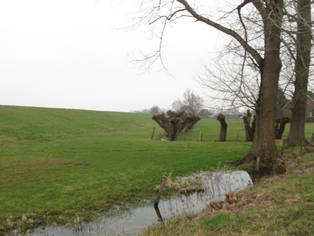 img_9000.jpg