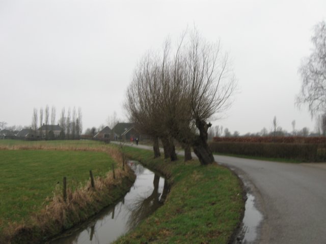 img_9003.jpg