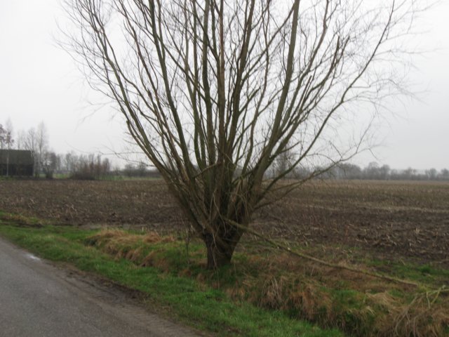 img_9004.jpg