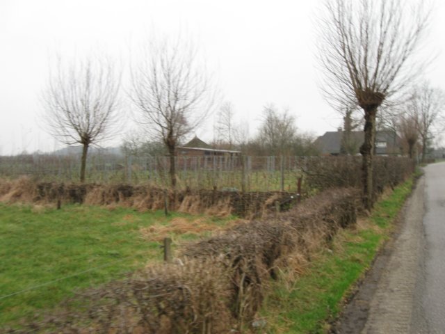 img_9008.jpg