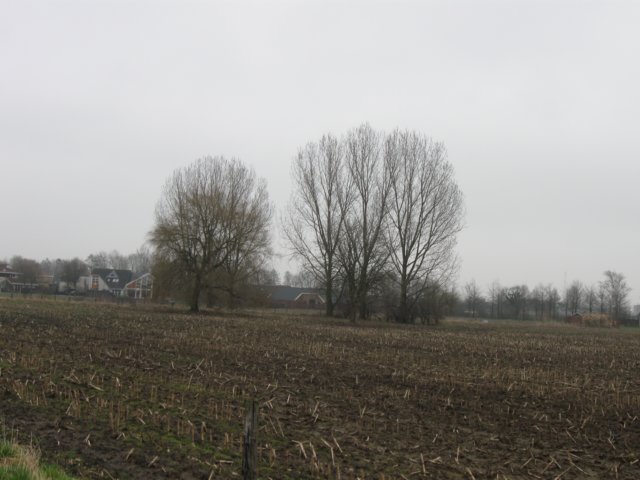 img_9010.jpg