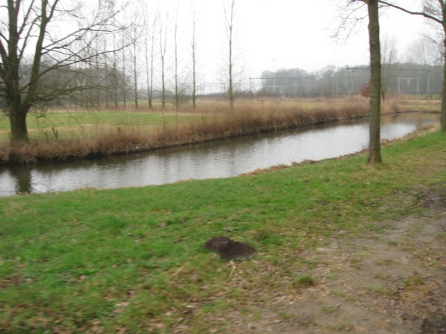 img_9039.jpg