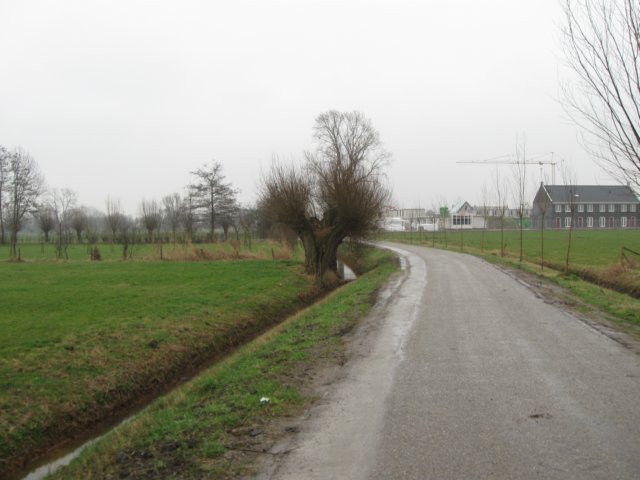 img_9049.jpg