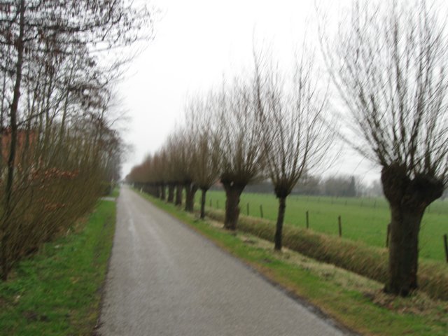 img_9050.jpg