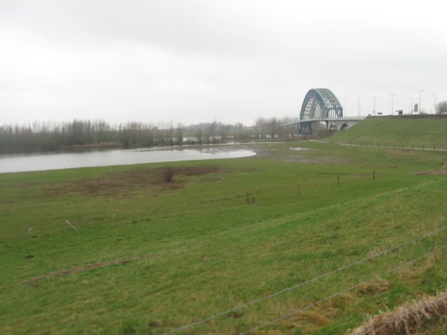 img_9173.jpg