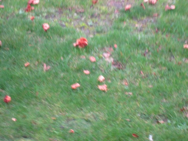 img_5022.jpg