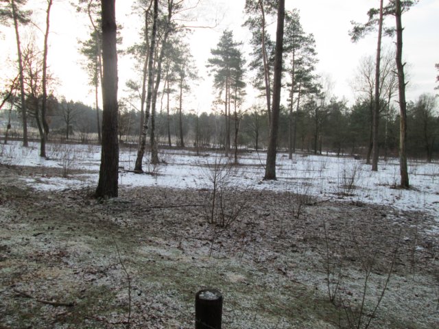 img_0134.jpg