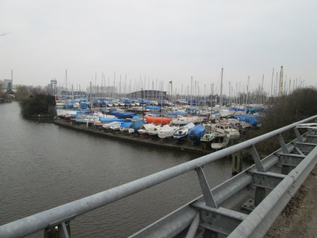 img_0252.jpg