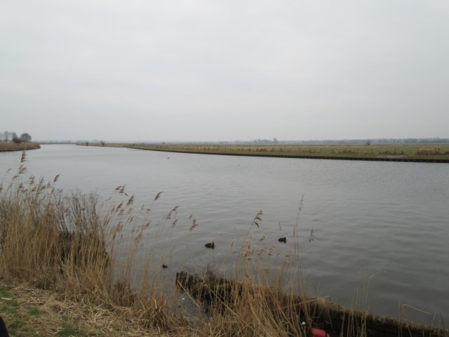 img_0262.jpg