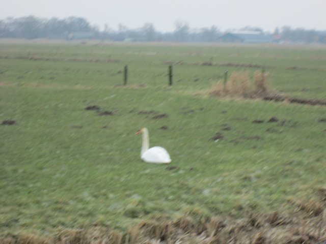 img_0278.jpg