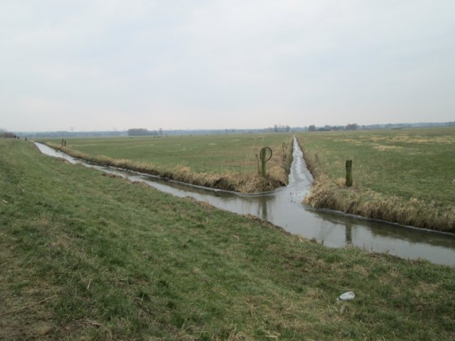 img_0289.jpg