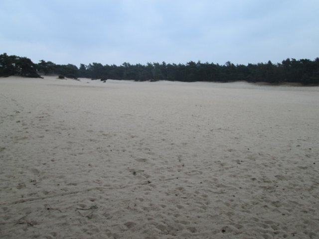 img_0300.jpg