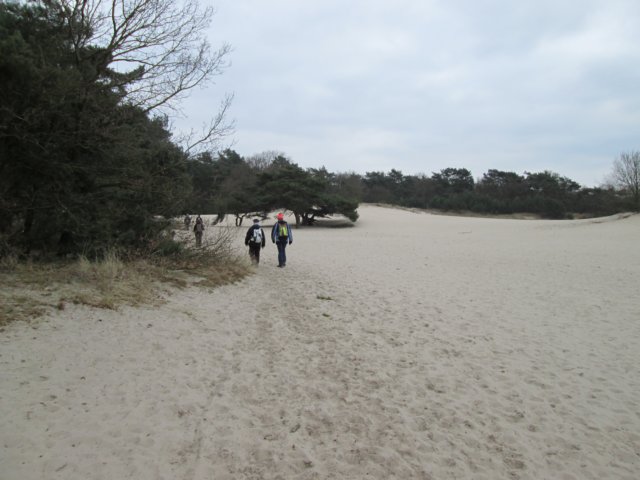 img_0319.jpg
