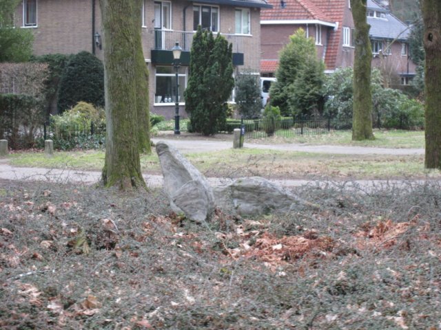 img_0320.jpg