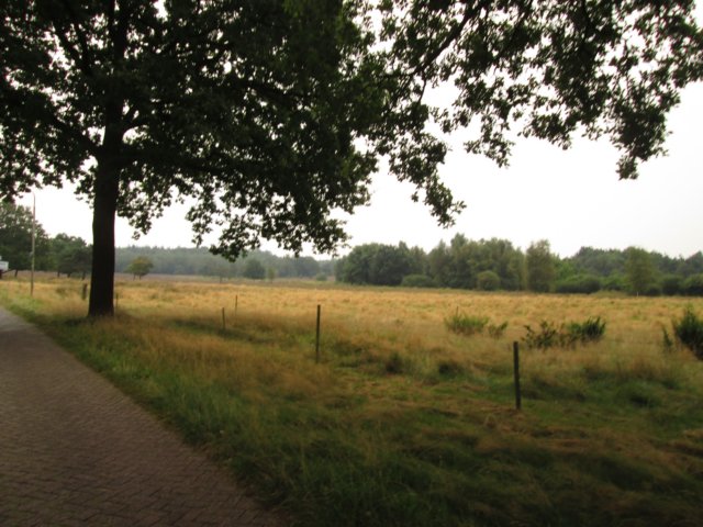 img_4039.jpg