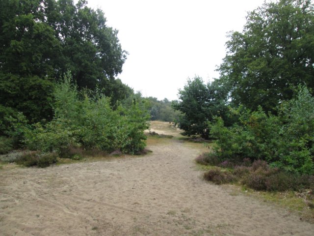 img_4063.jpg