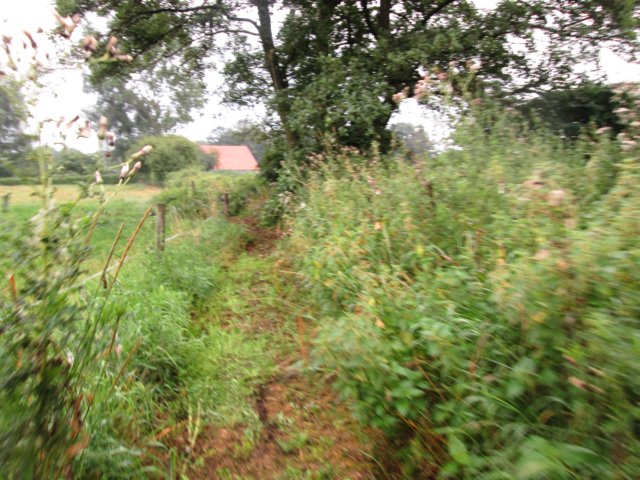 img_3842.jpg