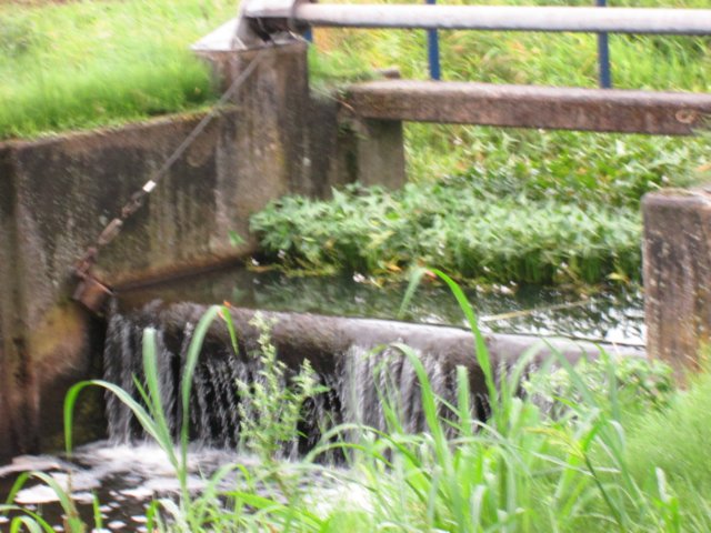img_3890.jpg
